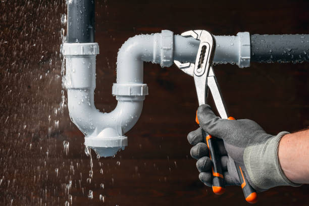 Professional Plumbing technician working in Leoma, TN